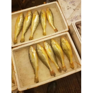 魚類產(chǎn)品